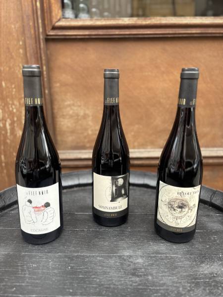 acheter fief noir vin de Loire à Lyon 