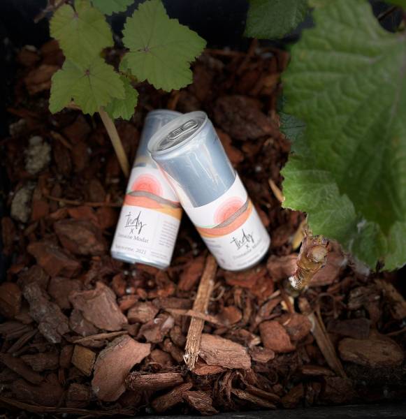 hors norme domaine modat