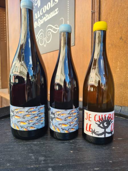 Domaine Gardiés : la pureté des Côtes Catalanes et des grands vins du Roussillon