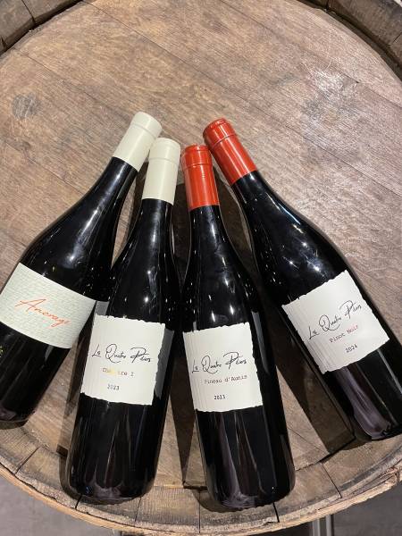 Domaine des Quatre Piliers, Valentin Desloges, Touraine, vin de Touraine, AOC Touraine, vins de Loire, Val de Loire, Noyers-sur-Cher, vigneron Touraine, vigneron Loire, domaine viticole Loire, Sauvignon Blanc Touraine, Pinot Noir Loire, Pinot d'Aunis, vin