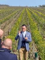 Nos prestations sur le secteur de Collonges au Mont d'Or 69660