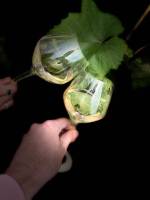 Notre zone d'activité pour ce service Brasserie artisanale Single Track